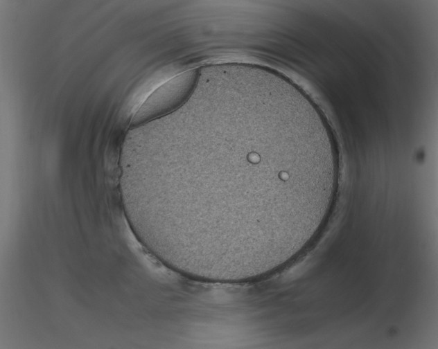 X0000116600905200912312054