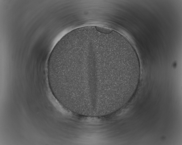 X0000116600907200912312054