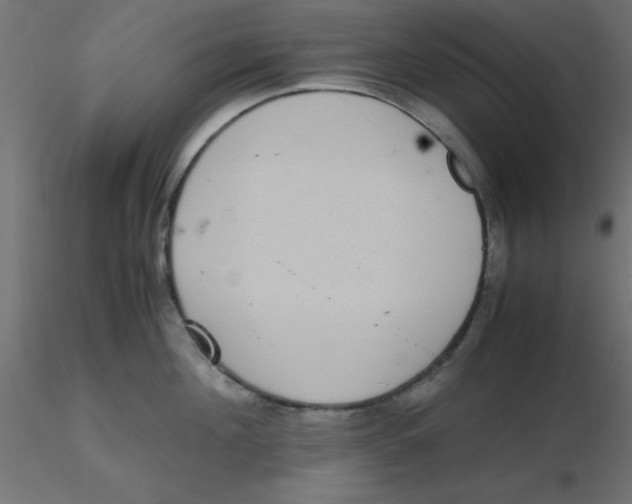 X0000116600908200912312054