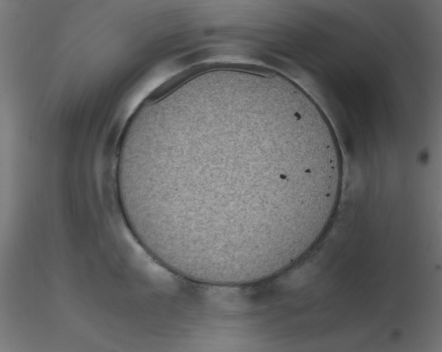 X0000116600909200912312054