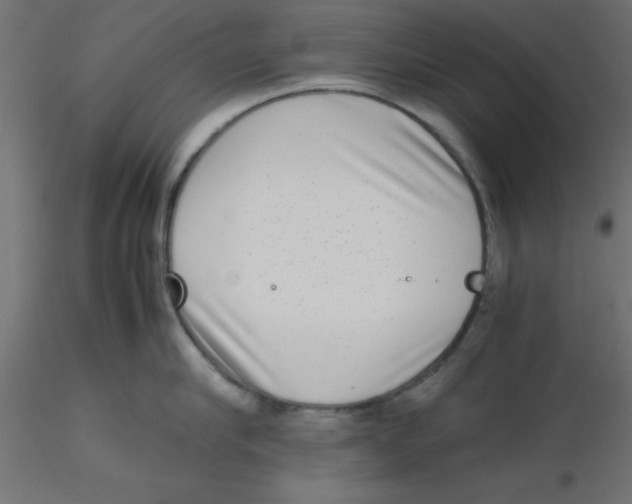 X0000116600910200912312054