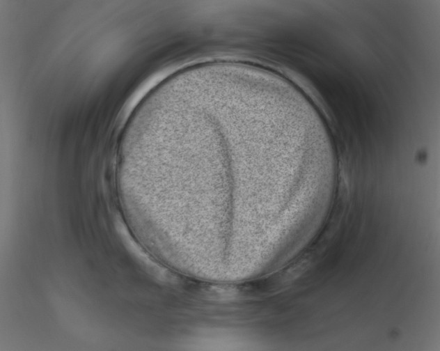 X0000116600911200912312054