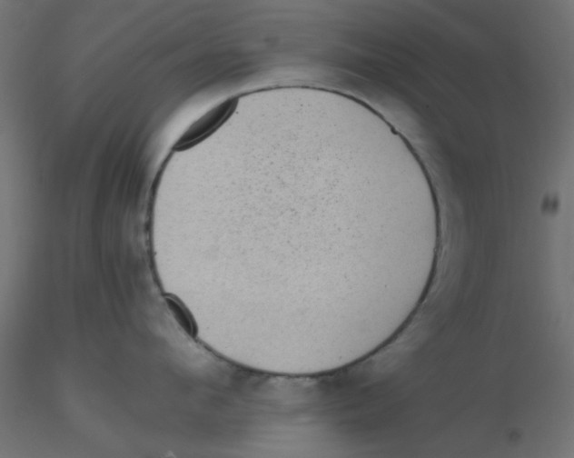 X0000116600912200912312054