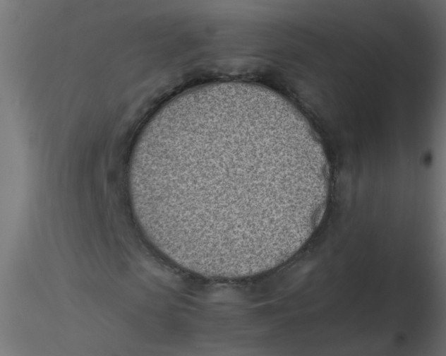 X0000116600913200912312053