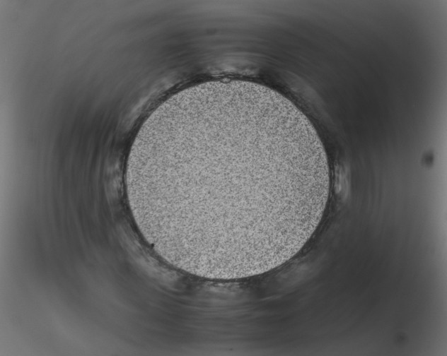 X0000116600915200912312054