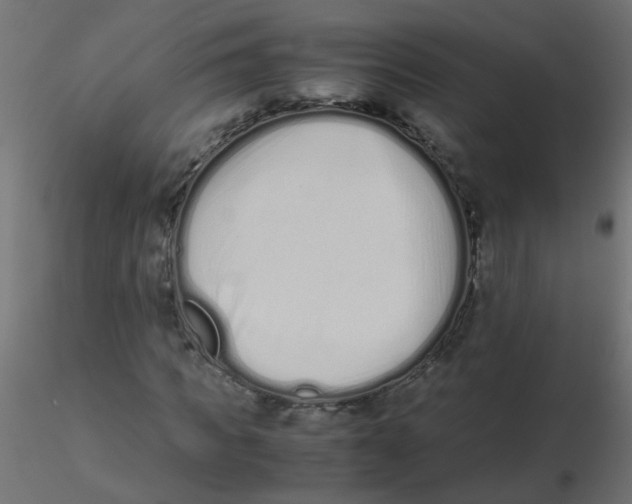 X0000116600917200912312054