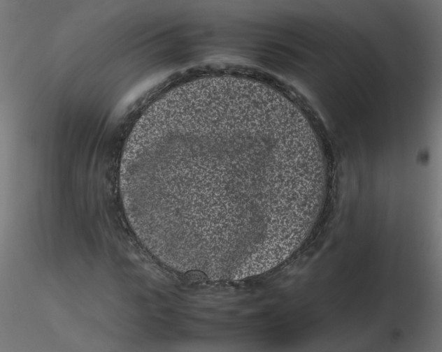 X0000116600919200912312054