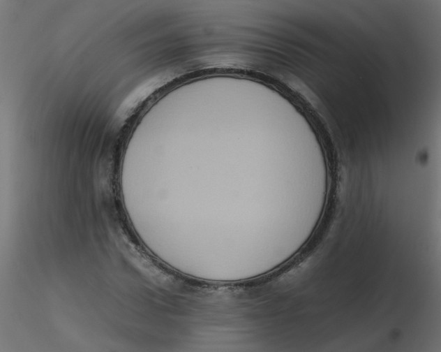 X0000116600922200912312054