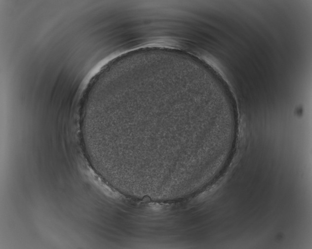 X0000116600923200912312054