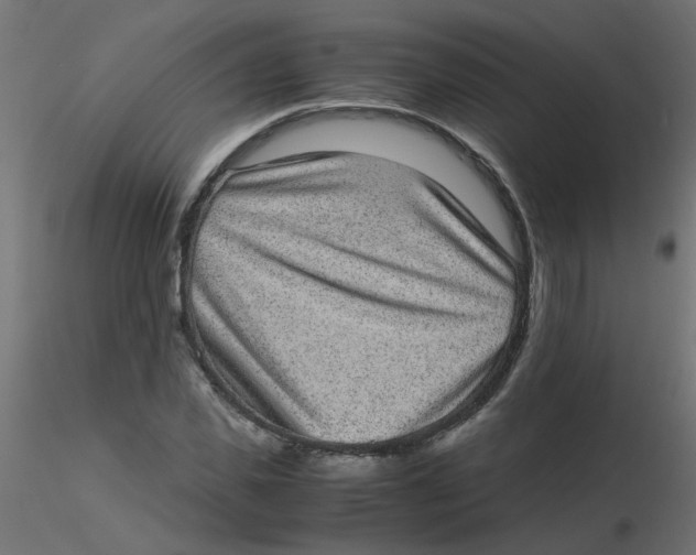 X0000116600925200912312054