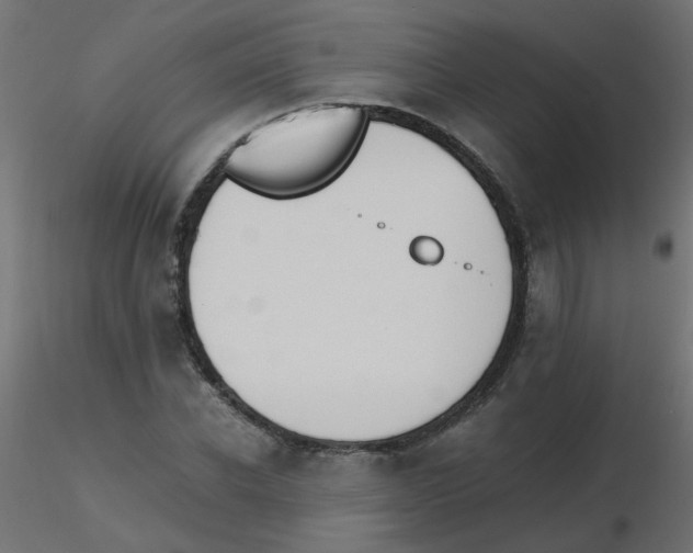 X0000116600926200912312054