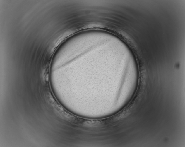 X0000116600929200912312054