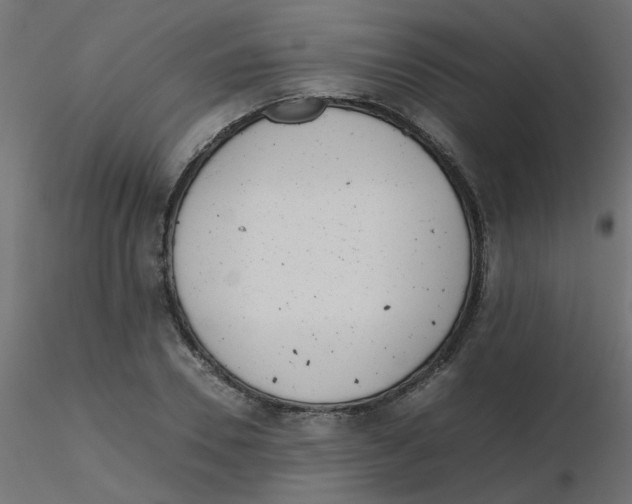 X0000116600930200912312054