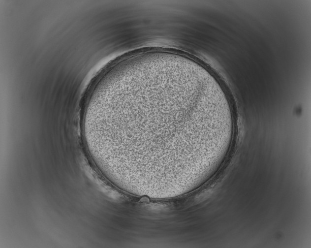 X0000116600931200912312054