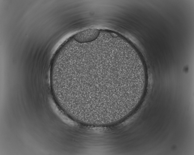 X0000116600934200912312054