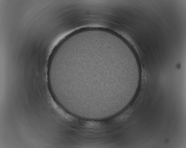 X0000116600935200912312054