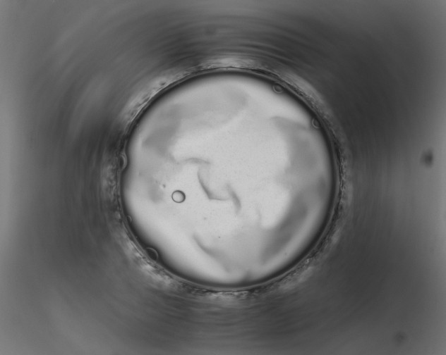 X0000116600937200912312054