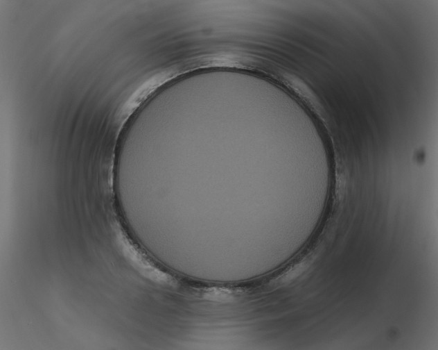 X0000116600938200912312054