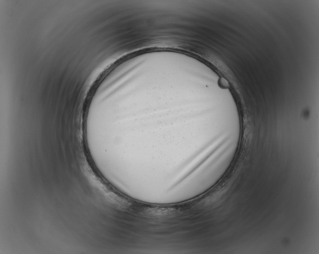 X0000116600939200912312054