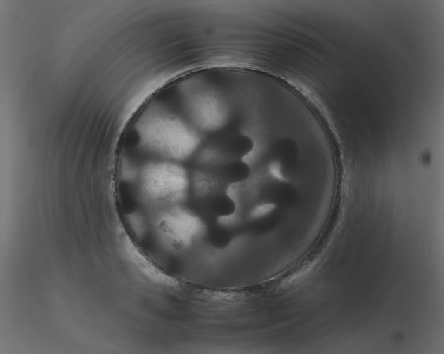 X0000116600941200912312054