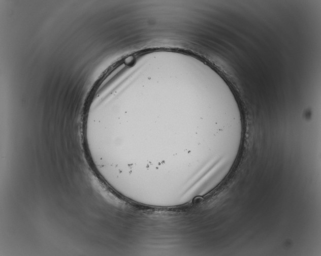 X0000116600942200912312054