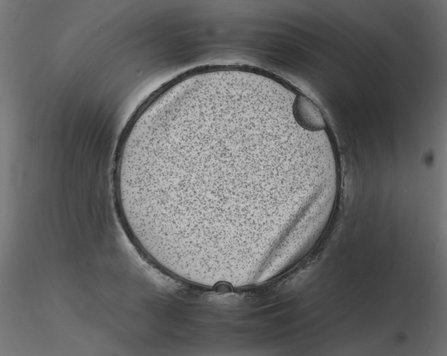 X0000116600943200912312054