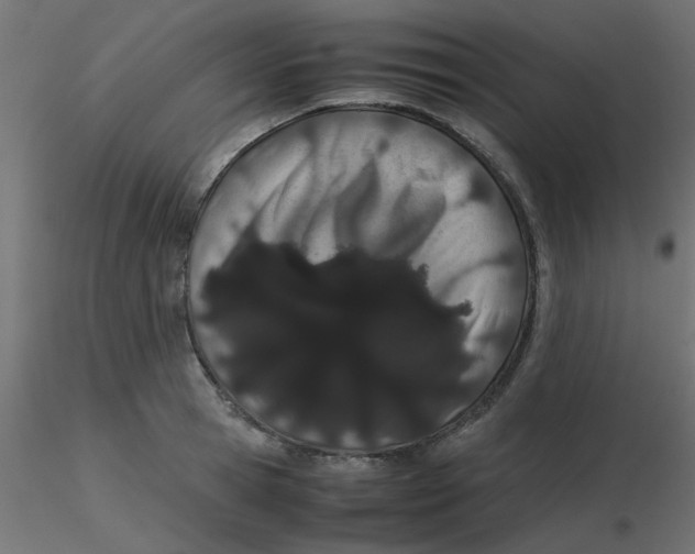 X0000116600945200912312054