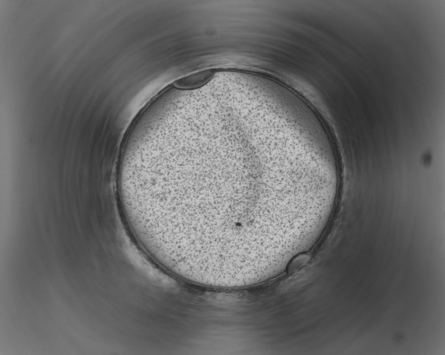 X0000116600946200912312054