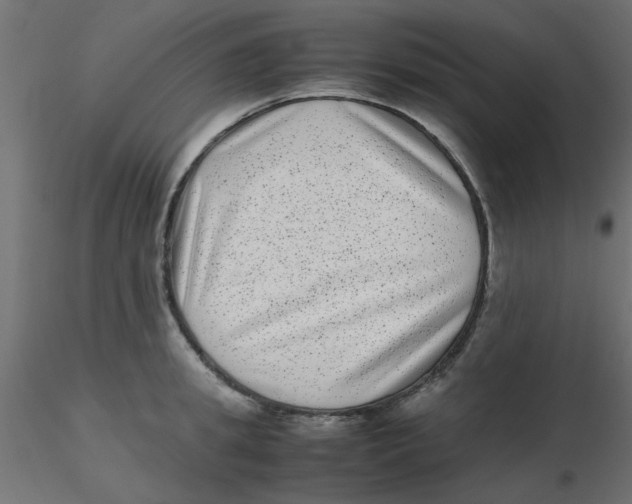 X0000116600949200912312054