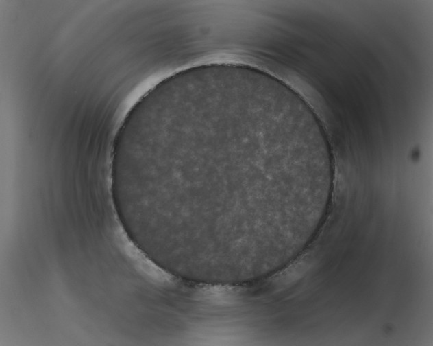 X0000116600950200912312054