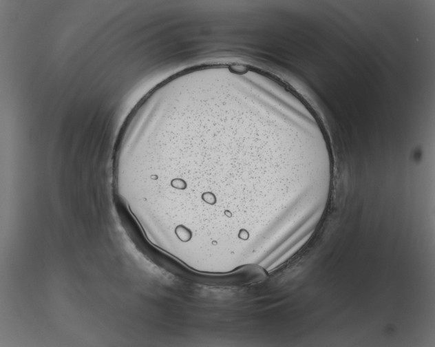 X0000116600951200912312054