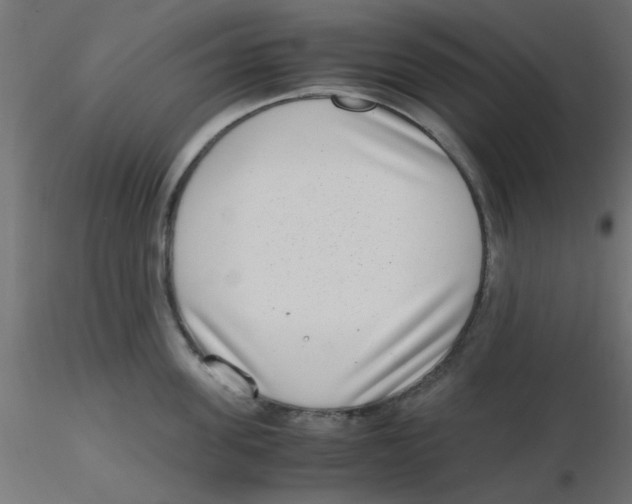 X0000116600955200912312054