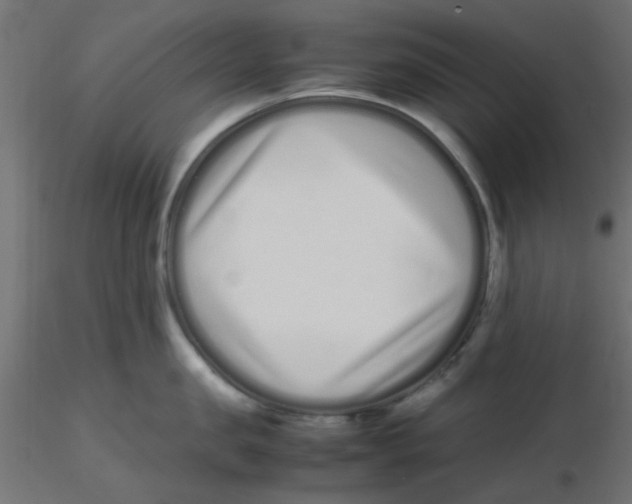 X0000116600957200912312054