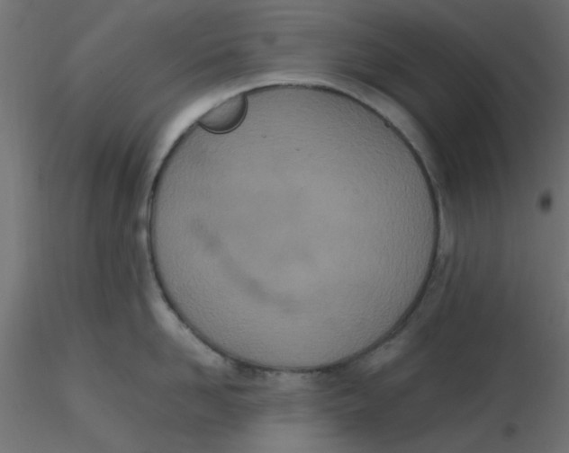 X0000116600958200912312054