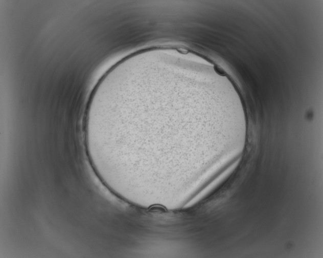 X0000116600959200912312054