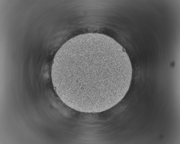 X0000116600962200912312053