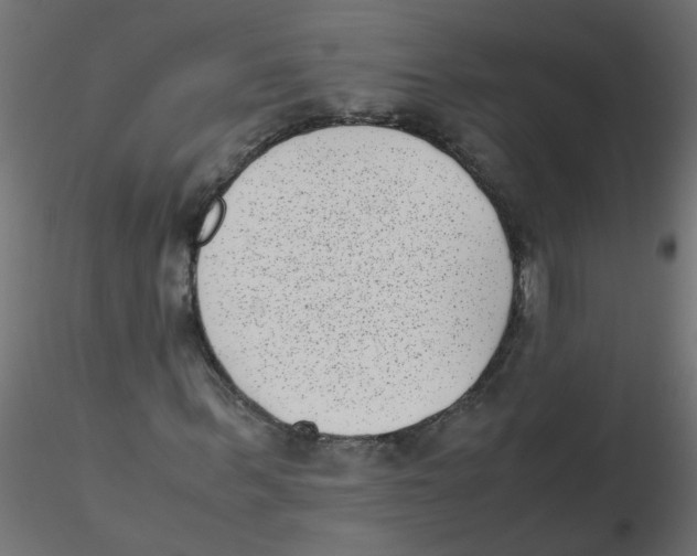 X0000116600963200912312053