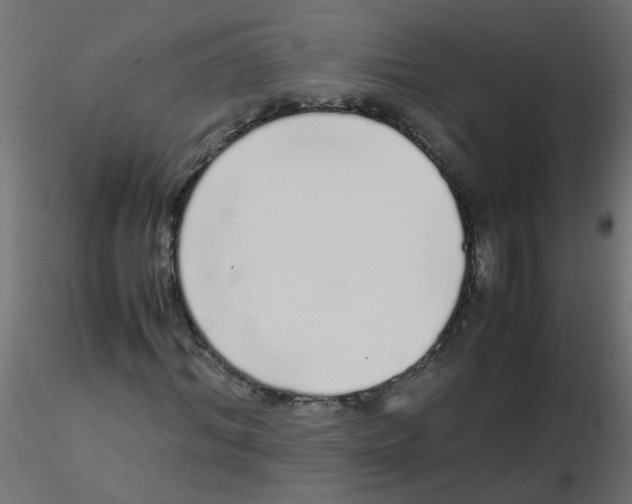 X0000116600964200912312053