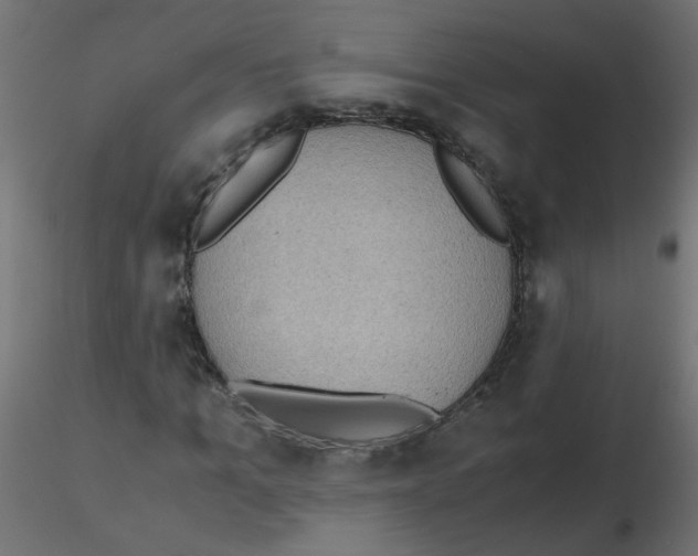 X0000116600965200912312053