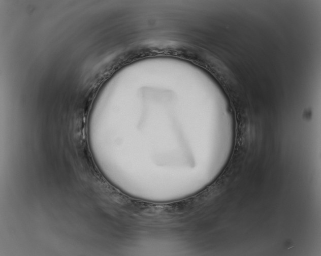 X0000116600966200912312053