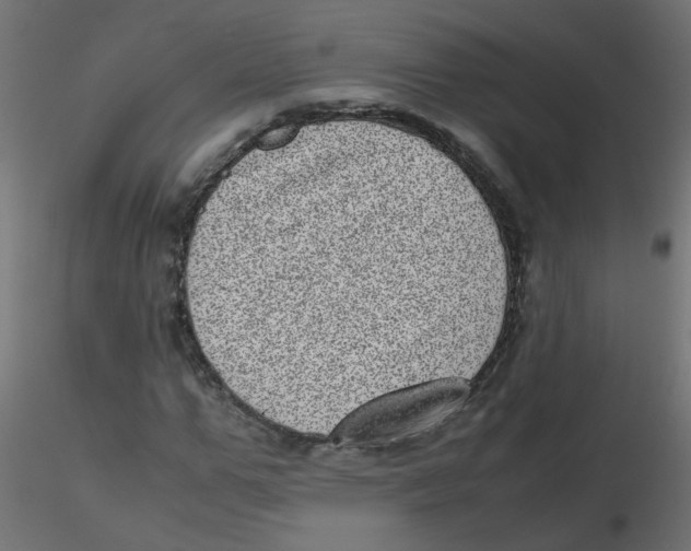 X0000116600967200912312053