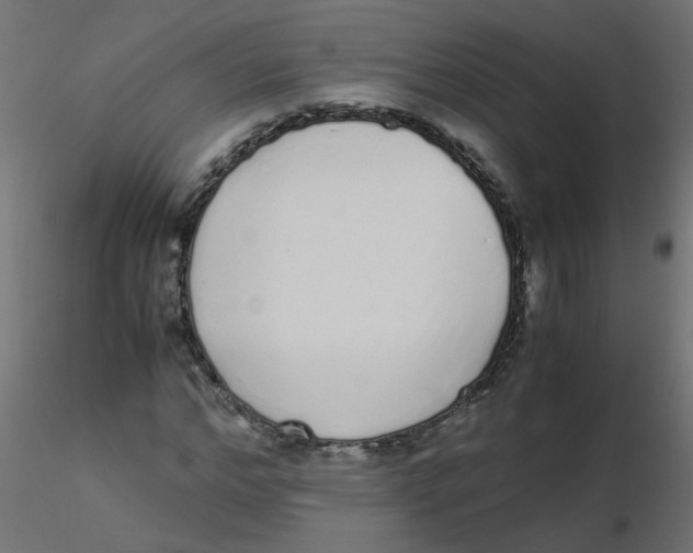 X0000116600968200912312053