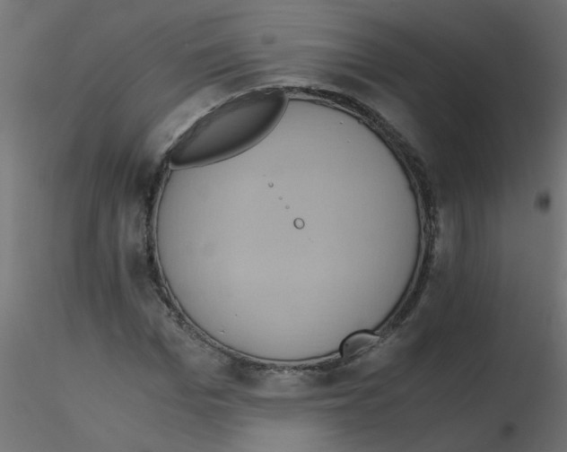 X0000116600969200912312053