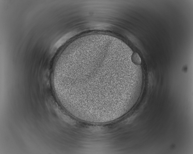 X0000116600970200912312053