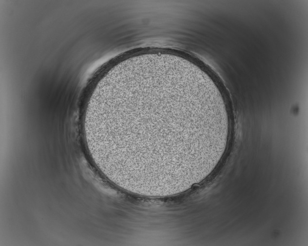 X0000116600971200912312053