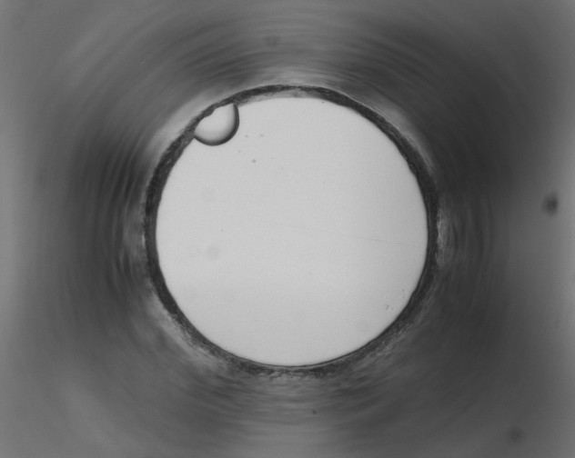 X0000116600972200912312053