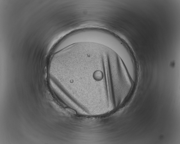 X0000116600973200912312053