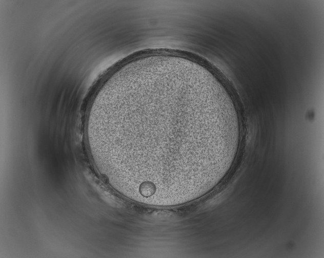 X0000116600974200912312053