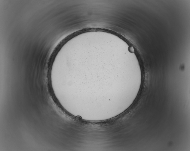 X0000116600976200912312053