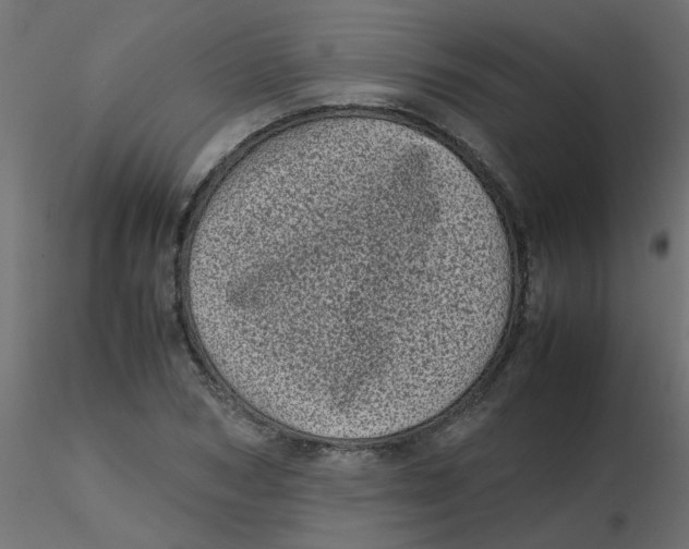 X0000116600978200912312053